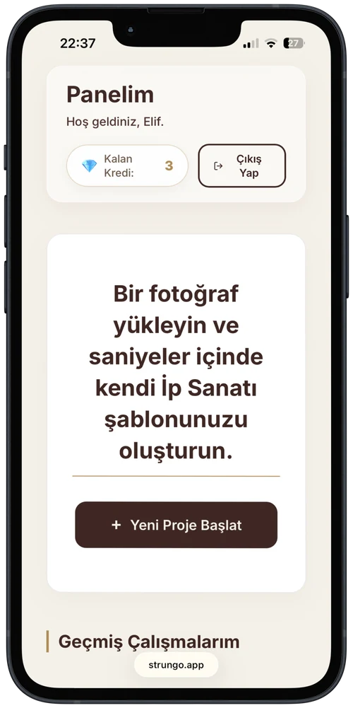 Panel - Yeni Proje Başlat